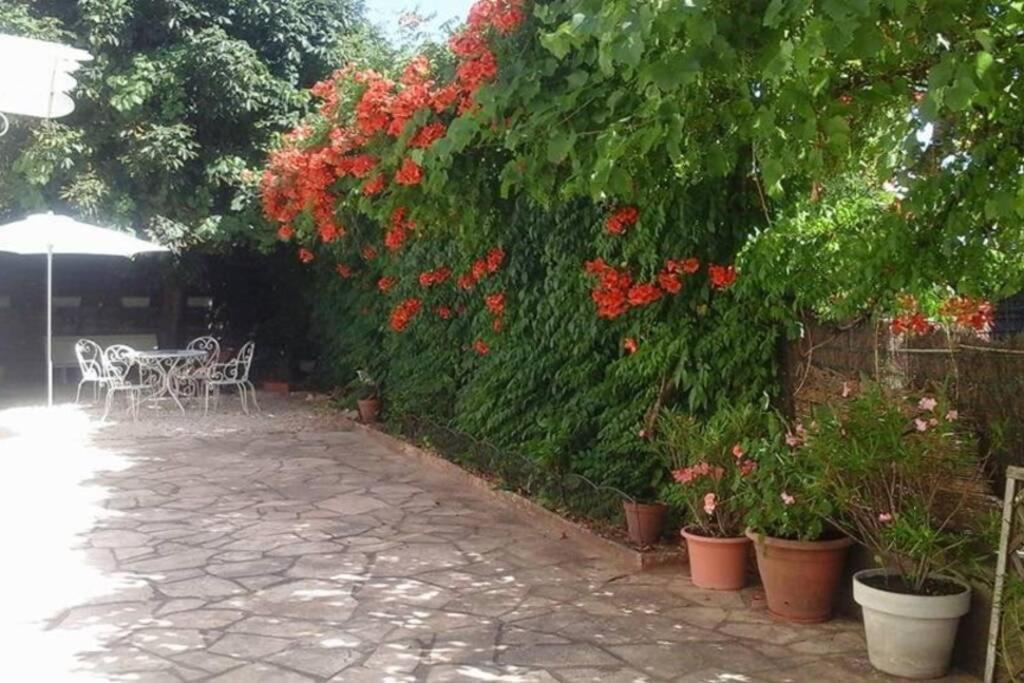 Maison De Charme En Perigord 10 Personnes La Maison D'Albertine Peyrillac-et-Millac Exterior foto